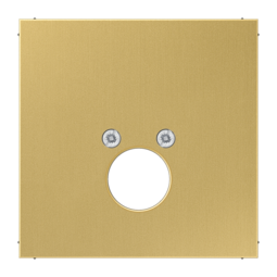 Накладка на аудиорозетку JUNG LS METAL, латунь