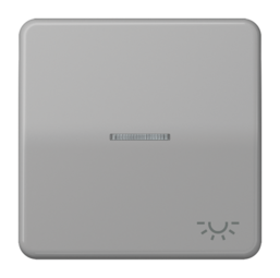 Клавиша JUNG CD 500, серый